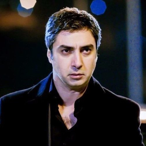 Polat Alemdar faktlar