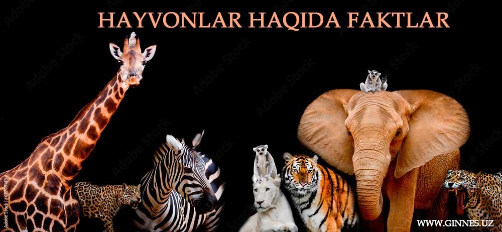 Hayvonlar haqida faktlar