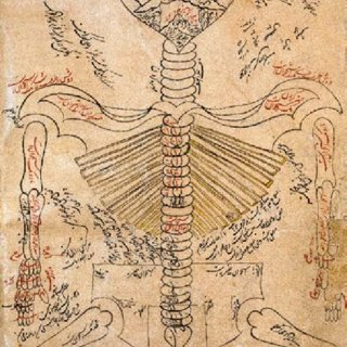 Ibn Sino meditsinasi
