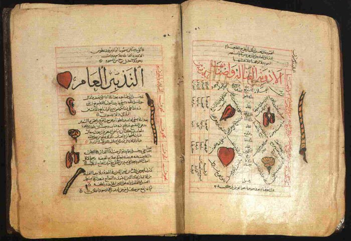 Ibn Sino tibbiyoti