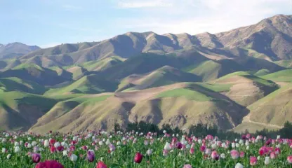 afganistan fakti