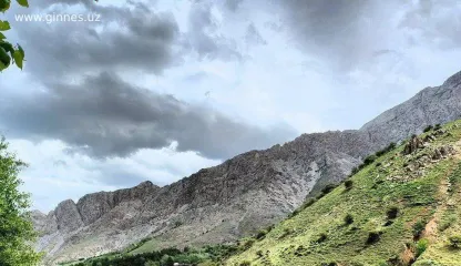 Горы ургута