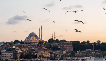 Turkey facts